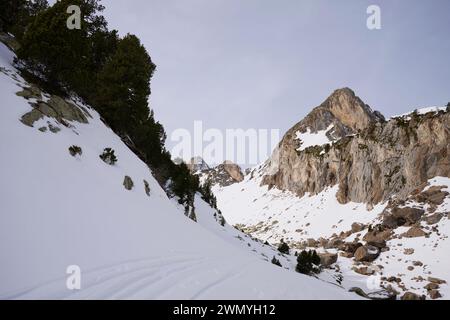 Ein ruhiger, schneebedeckter Berghang mit immergrünen Bäumen und felsigen Gipfeln unter grauem Himmel Stockfoto