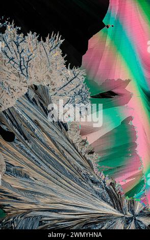 Eine abstrakte Komposition mit einem digitalen Störeffekt auf einem Bild mit natürlichen Elementen, die ein surreales und farbenfrohes Bild erzeugt Stockfoto