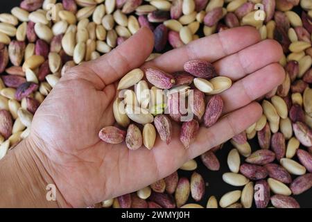 Frische Gaziantep-Pistazien in der Hand des Menschen. Hochwertige Fotos Stockfoto