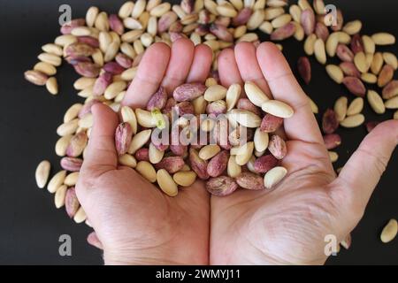 Frische Gaziantep-Pistazien in der Hand des Menschen. Hochwertige Fotos Stockfoto