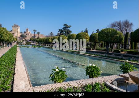 In den Gärten mit einem länglichen Teich gesäumt von orange wachsenden Bäumen im Alcazar de los Reyes Cristianos, auch bekannt als Alcazar von Cordoba Stockfoto