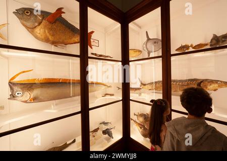 Italien, Toskana, Florenz, La Specola ist einer der Orte des Naturhistorischen Museums der Universität von Florenz. Stockfoto