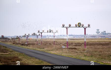 Berlin, Deutschland. Februar 2024. Lampen der ehemaligen Flughafenbeleuchtung stehen auf dem Gelände des ehemaligen Flughafens Tegel. Die Pläne für die zentralen Bereiche des Landschaftsparks Tegeler Stadtheide wurden auf einer Pressekonferenz vorgestellt. Auf rund 190 Hektar des ehemaligen Flughafengeländes in Tegel entwickelt Grün Berlin einen neuen Park für das Land Berlin, in dem die Menschen ihre Freizeit aktiv verbringen können. Quelle: Bernd von Jutrczenka/dpa/Alamy Live News Stockfoto