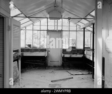 Vintage-Gewächshaus - INNENANSICHT DES TOPFSCHUPPEN NACH SÜDOSTEN - Hawthorne Naval Munition Depot, Gewächshaus, Personal & Industrial Area, Hawthorne, Mineral County, Nevada Stockfoto