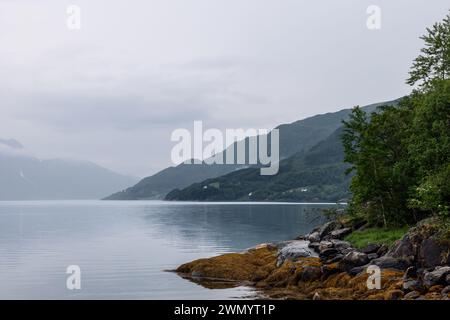 Ein friedlicher norwegischer Fjord unter einem weichen, grauen Himmel, wo das felsige Ufer mit seinem goldenen Algenrand auf das stille, reflektierende Wasser trifft Stockfoto