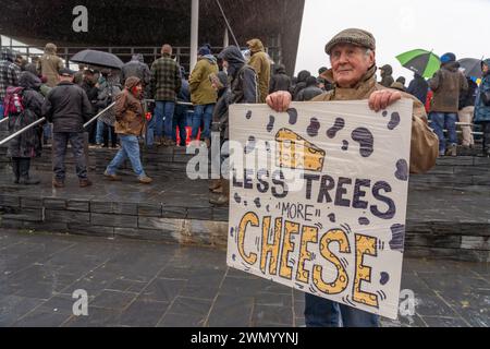 Cardiff, Wales. UK. Februar 2024. Walisische Bauern versammeln sich vor dem Senedd in Cardiff Bay, um gegen geplante Änderungen der Agrarsubventionen in Cardiff, Wales, zu protestieren. UK. Quelle: Haydn Denman/Alamy Live News. Stockfoto