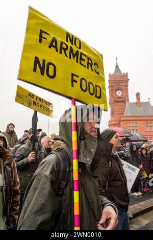 Cardiff, Wales. UK. Februar 2024. Walisische Bauern versammeln sich vor dem Senedd in Cardiff Bay, um gegen geplante Änderungen der Agrarsubventionen in Cardiff, Wales, zu protestieren. UK. Quelle: Haydn Denman/Alamy Live News. Stockfoto