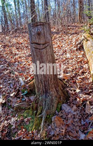 Ein Gesicht mit einem natürlichen Knopf für eine Nase, die Hand auf einen Stamm eines abgehackten Baumes entlang des Wanderweges im Wald geschnitten wird, umgeben von heruntergefallenen Blättern Stockfoto