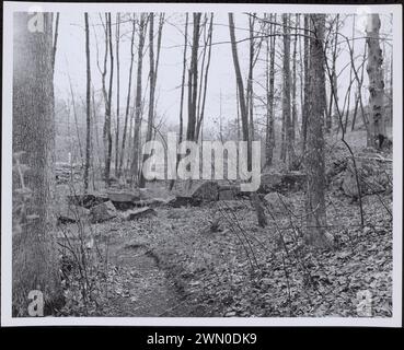 Deborah Sampson Rd. & Billings St., Mann's Mill, Gründung des Färberhauses. Deborah Sampson Rd. & Billings St., Mann's Mill, Gründung des Färberhauses Stockfoto