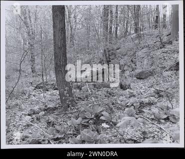 Deborah Sampson Rd. & Billings St., Mann's Mill. Deborah Sampson Rd. & Billings St., Mann's Mill Stockfoto