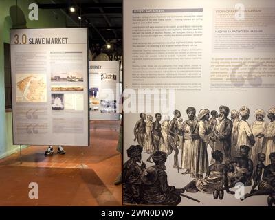 Eine westliche Touristin sieht sich eine Ausstellung in der Ostafrikanischen Sklavenhandelsausstellung in Stone Town, Sansibar, Tansania an Stockfoto