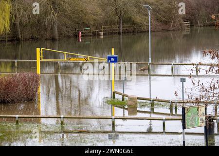 Wallingford, Oxfordshire, Großbritannien. Februar 2024. Der Parkplatz am Riverside in Wallingford bleibt unter Wasser. Die Themse in Wallingford, Oxfordshire, ist wieder über die Ufer geplatzt. Für die Themse, einschließlich Wallingford, gibt es weiterhin einen Hochwasseralarm. Quelle: Maureen McLean/Alamy Live News Stockfoto