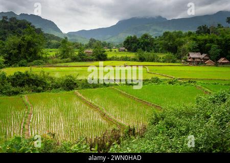 Ländliche Gemeinde in den Bergen bei Nong Khiaw und dem Fluss Nam ou im Norden Laos in Südostasien Stockfoto