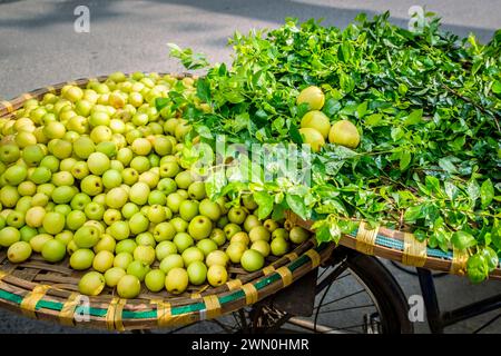 Frische Äpfel zum Verkauf von der Rückseite eines Fahrrads auf der Straße in Hanoi, Vietnam Stockfoto