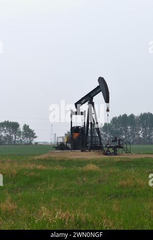 Der Ölförderer ist ein bekannter Anblick in den Feldern rund um Edmonton, Alberta, Kanada Stockfoto