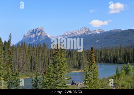 Der Bow River schlängelt sich am Castle Mountain in den Rocky Mountains in Alberta, Kanada Stockfoto