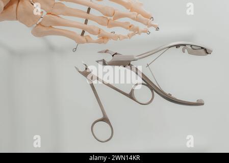 Pediküre-Werkzeuge in der Nähe des Modellskelettfußes Stockfoto