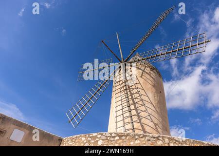 Historische Windmühle von es Jonquet in der Altstadt von Palma de Mallorca, Mallorca, Balearen, Spanien, Europa Stockfoto