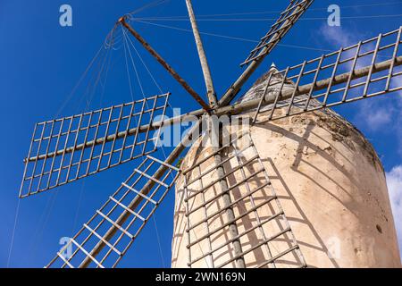 Historische Windmühle von es Jonquet in der Altstadt von Palma de Mallorca, Mallorca, Balearen, Spanien, Europa Stockfoto