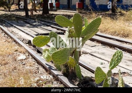 Oaxaca, Mexiko - Oaxaca Railroad Museum. Die Mexican Southern Railroad nahm ihren Betrieb 1892 zwischen Oaxaca und Pueblo auf. Der Personenverkehr hat b Stockfoto