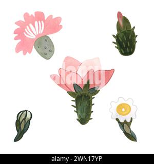 Kaktusblüten-Set. Pflanzen für das Zuhause. Blumenzucht. Wüstenflora. Isolierte Aquarellillustration auf weißem Hintergrund. Clipart Stockfoto