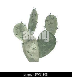 Stachelbirne. Kakteen. Pflanzen für das Zuhause. Blumenzucht. Wüstenflora. Isolierte Aquarellillustration auf weißem Hintergrund. Clipart Stockfoto