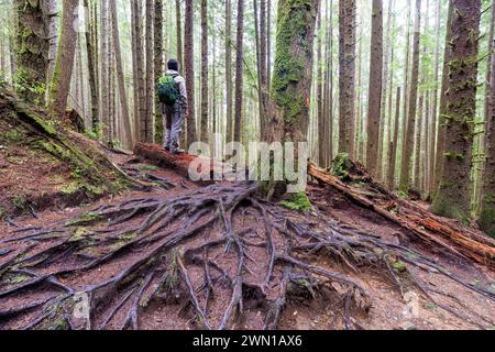 Wanderer auf dem Weg nach Mystic Beach - Sooke, Vancouver Island, British Columbia, Kanada Stockfoto