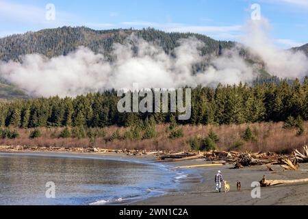 Frau, die ihre Hunde am Pacheedaht Beach im First Nation Reserve in Port Renfrew, Vancouver Island, British Columbia, Kanada, führt Stockfoto