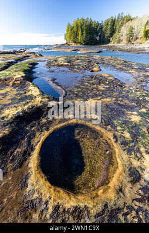 Gezeitenpool-Landschaft am Botanical Beach - Juan de Fuca Provincial Park - Port Renfrew, Vancouver Island, British Columbia, Kanada Stockfoto