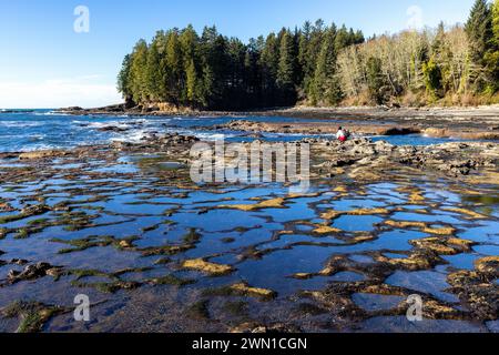 Gezeitenpool-Landschaft am Botanical Beach - Juan de Fuca Provincial Park - Port Renfrew, Vancouver Island, British Columbia, Kanada Stockfoto