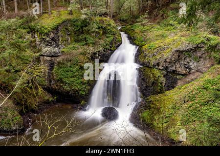 Sitzende Dame fällt - Der witzige Lagune Regional Park, Metchosin, in der Nähe von Victoria, Vancouver Island, British Columbia, Kanada Stockfoto