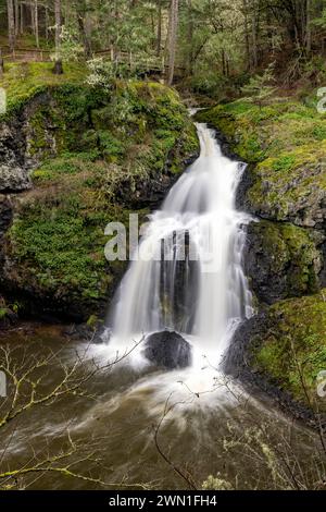 Sitzende Dame fällt - Der witzige Lagune Regional Park, Metchosin, in der Nähe von Victoria, Vancouver Island, British Columbia, Kanada Stockfoto