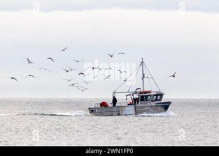 Fischtrawler in der Straße von Juan de Fuca - Victoria, Vancouver Island, British Columbia, Kanada Stockfoto