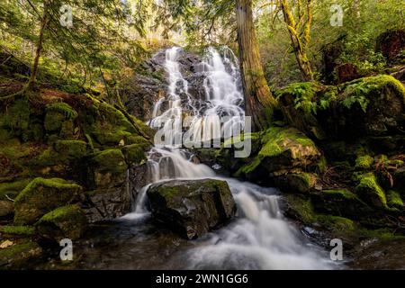 Mary Vine Creek Falls - Sooke, Vancouver Island, British Columbia, Kanada Stockfoto