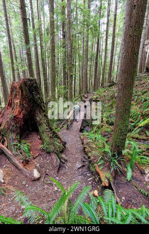 Wanderer auf dem Weg nach Mystic Beach - Sooke, Vancouver Island, British Columbia, Kanada Stockfoto