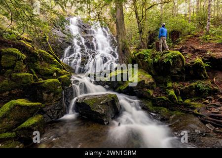 Wanderer an den Mary Vine Creek Falls - Sooke, Vancouver Island, British Columbia, Kanada Stockfoto