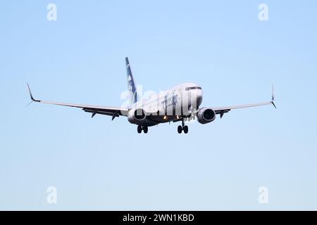 Everett, WA, USA – 16. Februar 2024; Alaska Airlines Boeing 737-800 N524AS Landeanflug isoliert am blauen Himmel Stockfoto