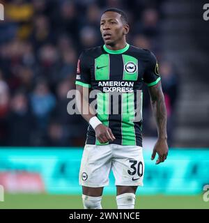 Wolverhampton, Großbritannien. Februar 2024. Brightons Pervis Estupiñán während des FA Cup 5th Round Matches zwischen Wolverhampton Wanderers und Brighton und Hove Albion am 28. Februar 2024 in Molineux, Wolverhampton, England. Foto von Stuart Leggett. Nur redaktionelle Verwendung, Lizenz für kommerzielle Nutzung erforderlich. Keine Verwendung bei Wetten, Spielen oder Publikationen eines einzelnen Clubs/einer Liga/eines Spielers. Quelle: UK Sports Pics Ltd/Alamy Live News Stockfoto