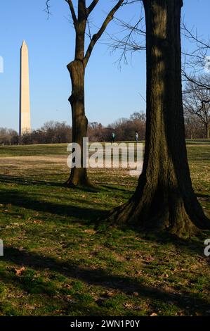 Das Washington Monument in D.C. Stockfoto