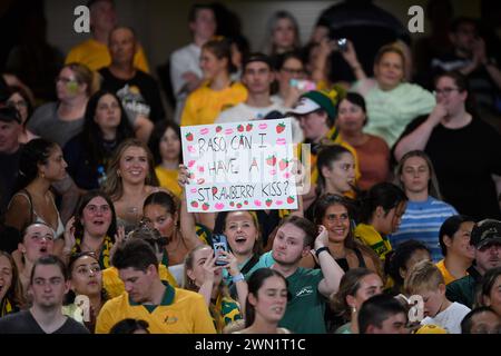 MELBOURNE, AUSTRALIEN Melbourne, Victoria, Australien. 28. Februar 2024. Matildas Fans beim AFC Olympia-Qualifikationsturnier 2024 R3 Australien Frauen gegen Usbekistan Frauen im Marvel Stadium von Melbourne. Quelle: Karl Phillipson/Alamy Live News Stockfoto