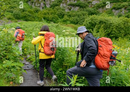 Menschen, die Eissteige auf ihren Rucksäcken tragen, wandern auf dem Exit Glacier Track. Kenai Fjords National Park. Alaska. Stockfoto