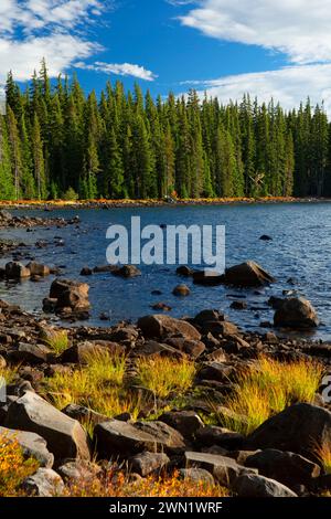 Waldo See aus Shoreline Trail, Waldo Lake State Scenic Wasserstraße, Willamette National Forest, Oregon Stockfoto