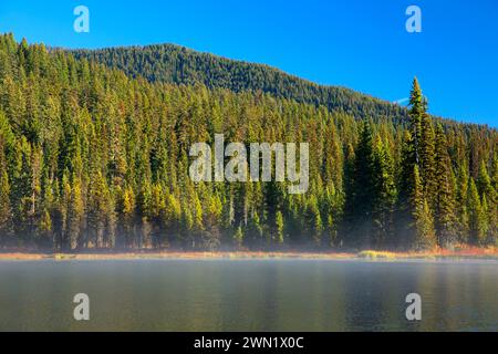 Gold-See, Willamette National Forest, Oregon Stockfoto