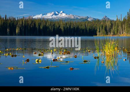 Gold-See mit Diamond Peak, Willamette National Forest, Oregon Stockfoto