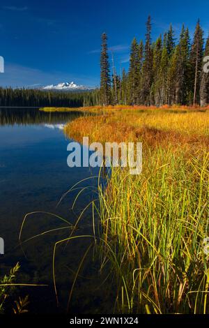 Gold-See mit Diamond Peak, Willamette National Forest, Oregon Stockfoto