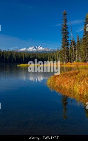 Gold-See mit Diamond Peak, Willamette National Forest, Oregon Stockfoto
