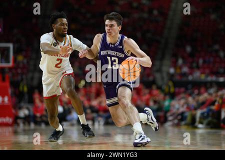 College Park, MD, USA. Februar 2024. Der nordwestliche Wildkatzenschützer Brooks Barnhizer (13) fährt während des NCAA-Basketballspiels zwischen den Northwestern Wildcats und den Maryland Terrapins im Xfinity Center in College Park, MD, zum Korb. Reggie Hildred/CSM/Alamy Live News Stockfoto