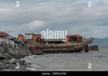 Das alte Whakatiiwai-Schiffswrack an der Seabird Coast am Westufer des Firth of Thames im Hauraki District, Neuseeland. Das HMNZ Hinau. Stockfoto