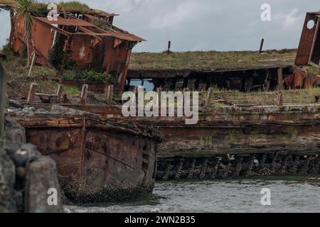 Das alte Whakatiiwai-Schiffswrack an der Seabird Coast am Westufer des Firth of Thames im Hauraki District, Neuseeland. Das HMNZ Hinau. Stockfoto