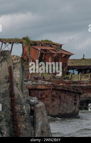 Das alte Whakatiiwai-Schiffswrack an der Seabird Coast am Westufer des Firth of Thames im Hauraki District, Neuseeland. Das HMNZ Hinau. Stockfoto